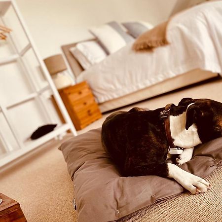 Bed and Breakfast The Ventnor Annex Exteriér fotografie