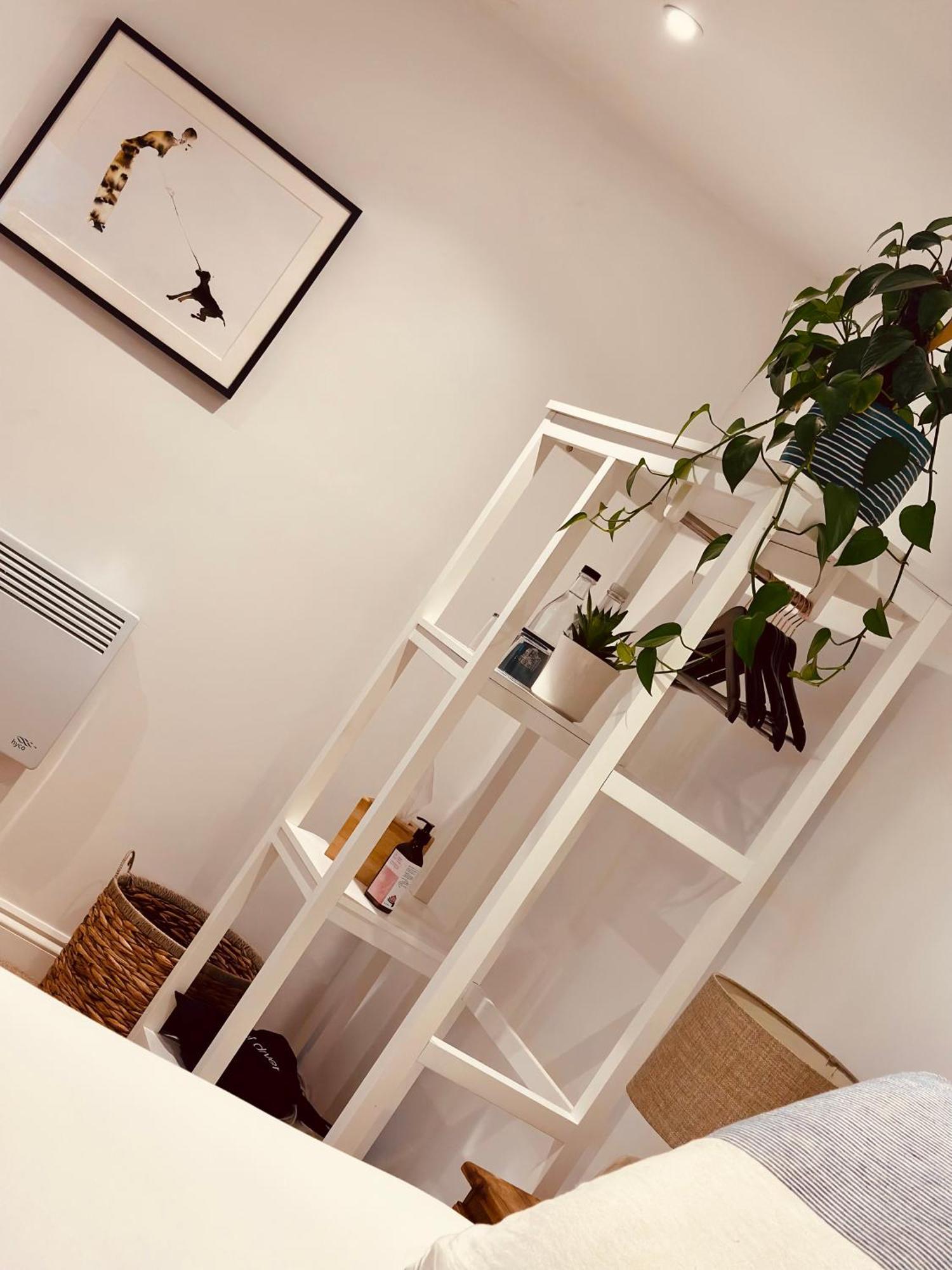 Bed and Breakfast The Ventnor Annex Exteriér fotografie